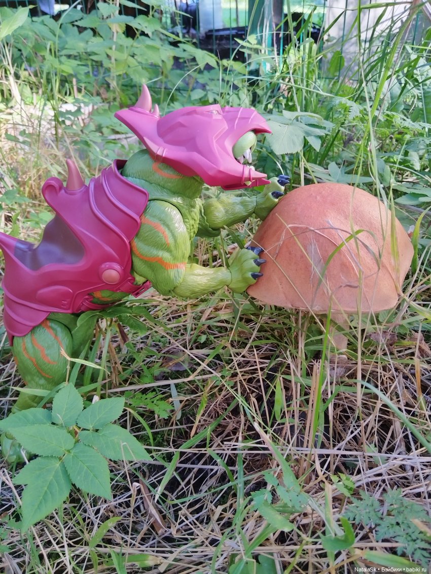 Пришельцы против грибов или тихая охота (фото 5)