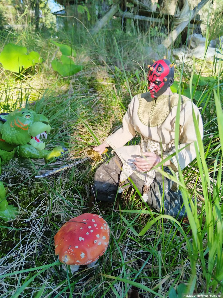 Пришельцы против грибов или тихая охота (фото 4)