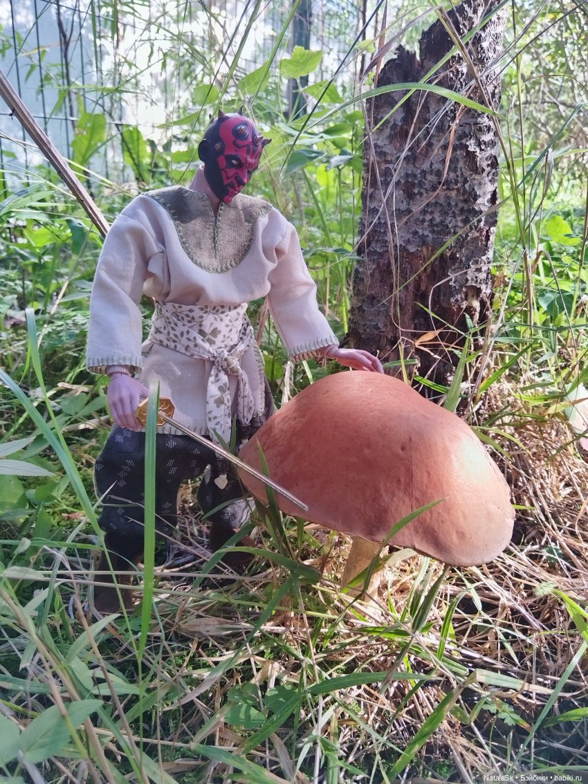 Пришельцы против грибов или тихая охота (фото 6)