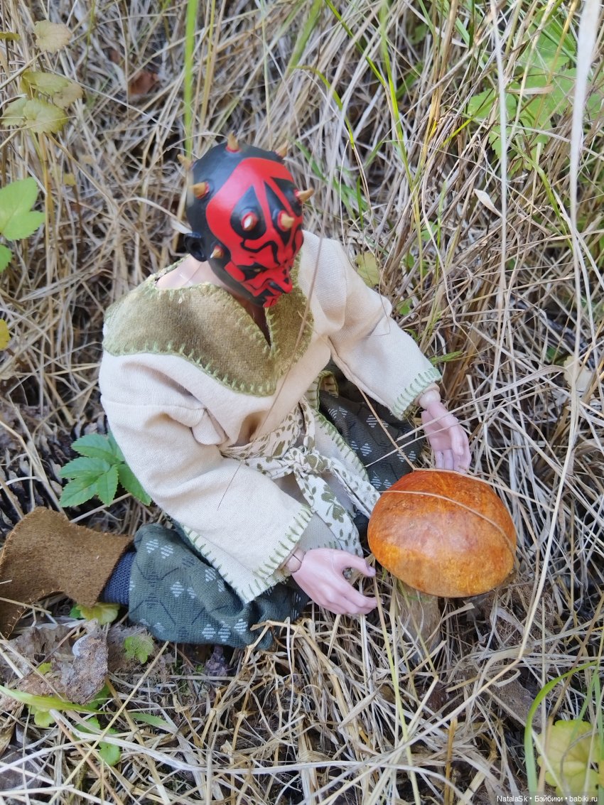 Пришельцы против грибов или тихая охота (фото 7)