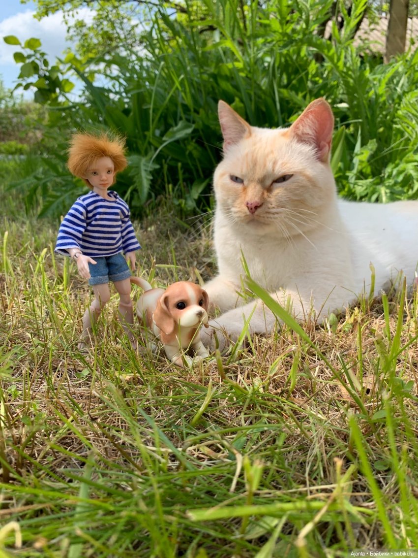 Как я провёл лето — Домашние фото авторских кукол: личные коллекции (фото 5)