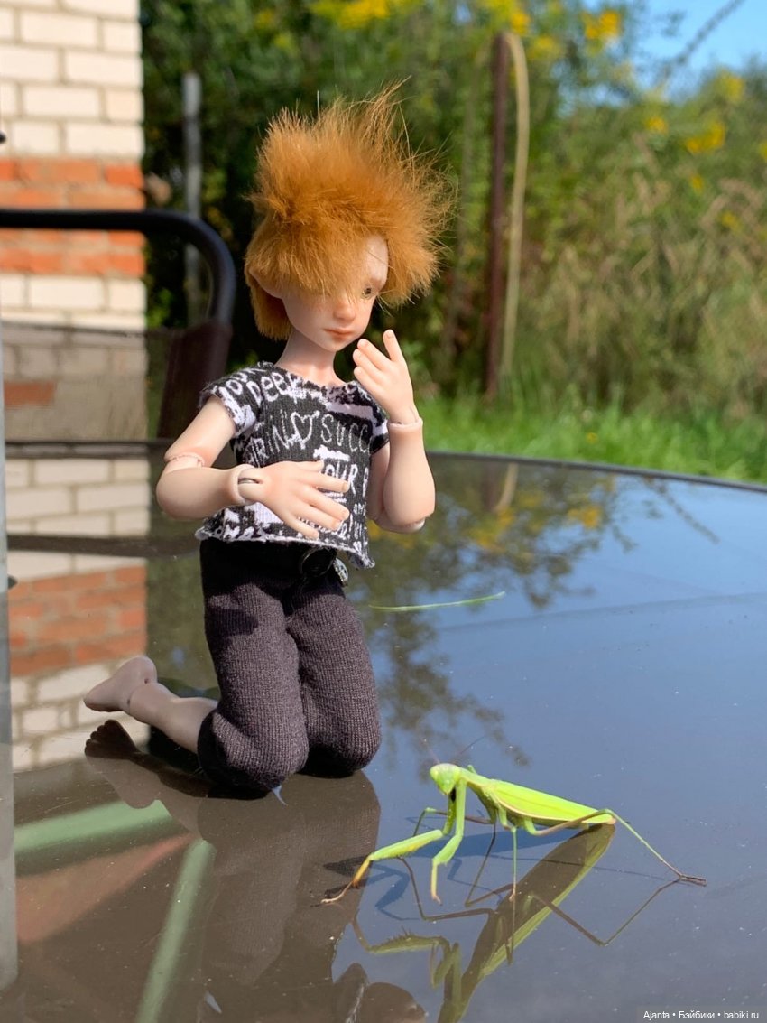 Как я провёл лето — Домашние фото авторских кукол: личные коллекции