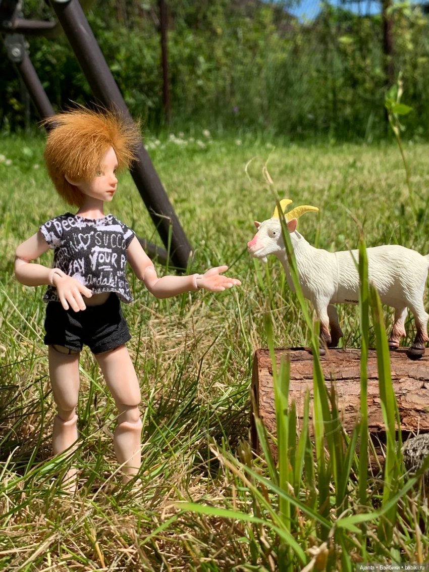 Как я провёл лето — Домашние фото авторских кукол: личные коллекции