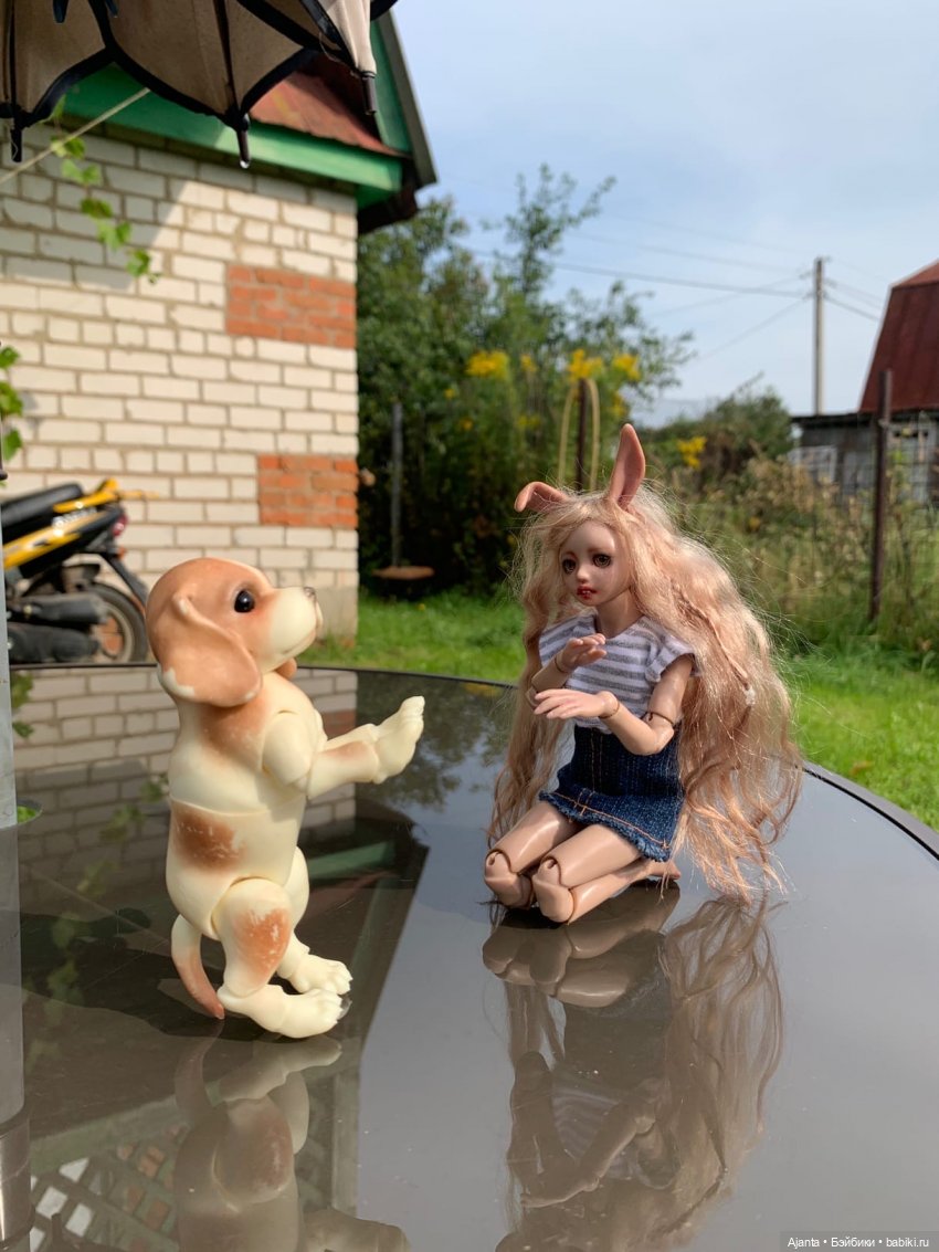 Путешествие Зайки — Домашние фото авторских кукол: личные коллекции