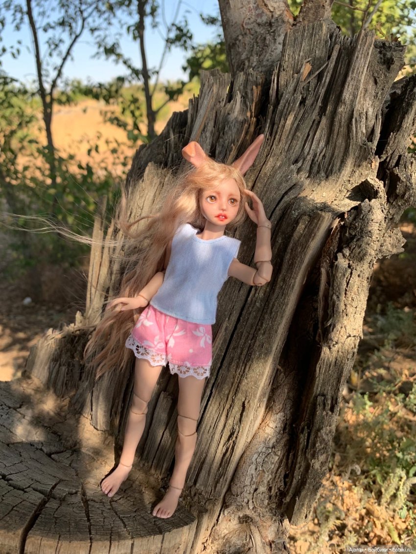 Путешествие Зайки — Домашние фото авторских кукол: личные коллекции