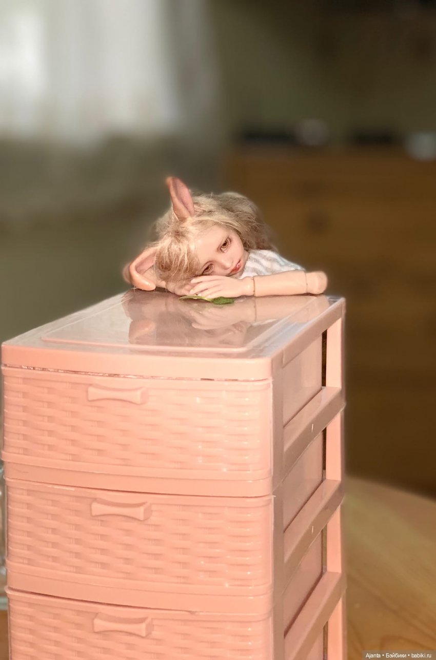 Путешествие Зайки — Домашние фото авторских кукол: личные коллекции