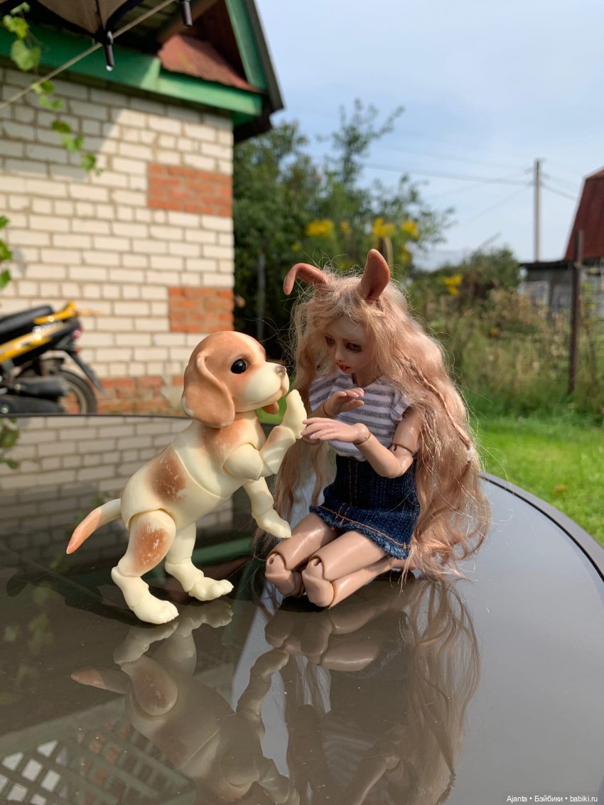 Путешествие Зайки — Домашние фото авторских кукол: личные коллекции