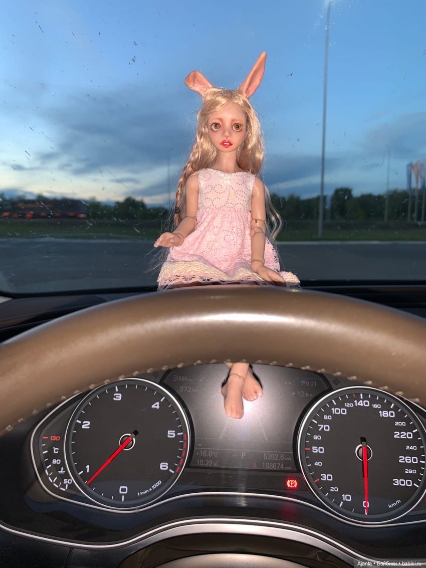Путешествие Зайки — Домашние фото авторских кукол: личные коллекции