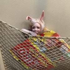 Путешествие Зайки