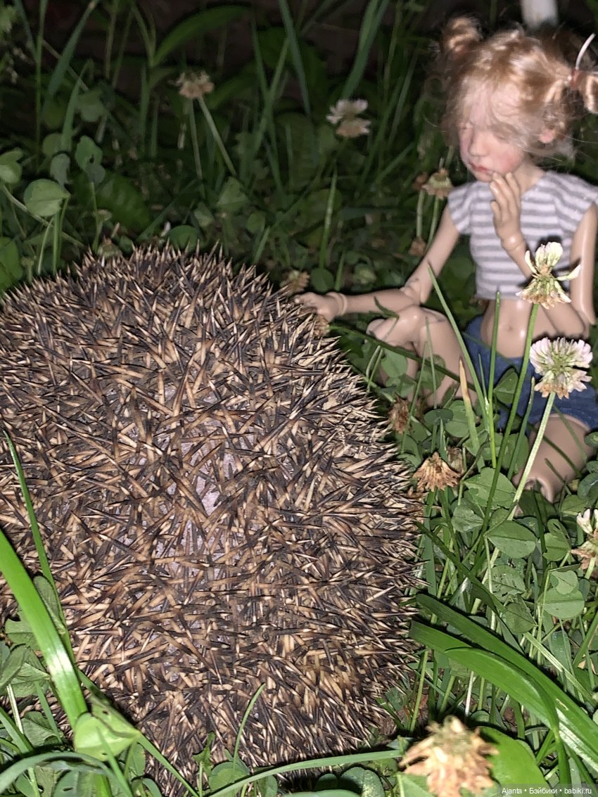 Каникулы Птички — Куклы Ptichka Art Doll (Ирина Кузина): BJD