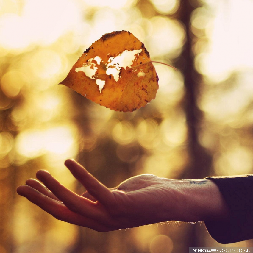 Проклятье хозяйки недремлющих кукол. Часть 4