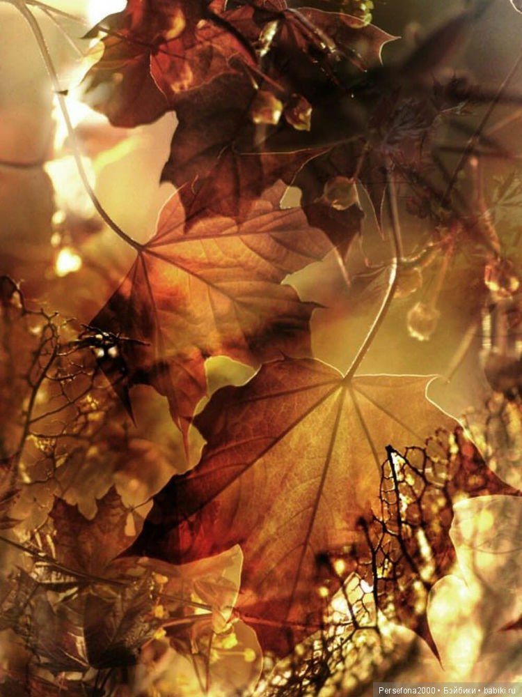 Проклятье хозяйки недремлющих кукол. Вместо эпилога. Часть 2 (фото 8)