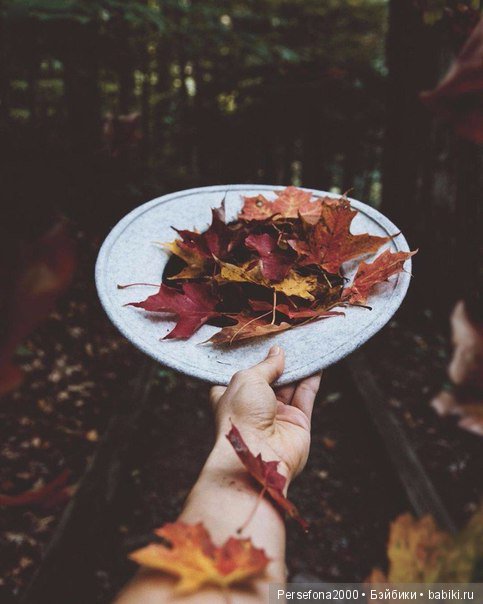 Проклятье хозяйки недремлющих кукол. Вместо эпилога. Часть 1 (фото 5)