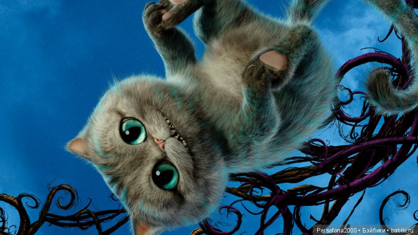 Проклятье хозяйки недремлющих кукол. Вместо эпилога. Часть 1 (фото 8)