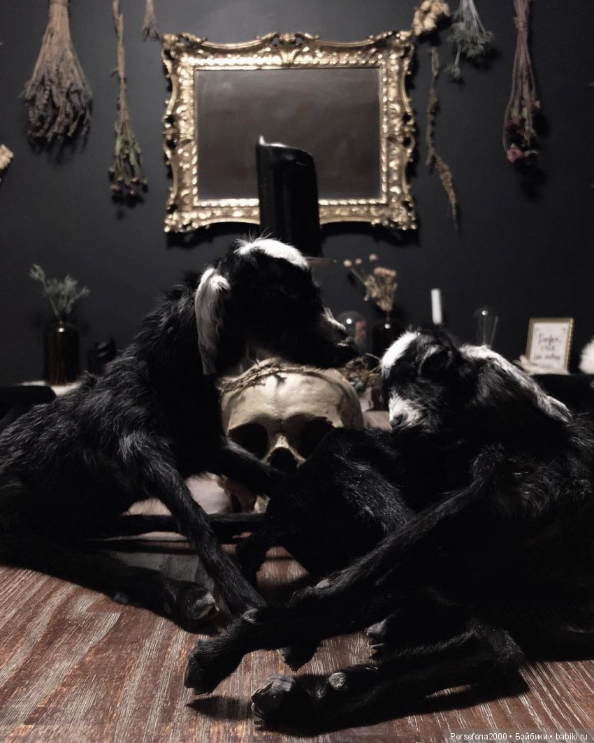 Любимый немец. Глава 12, часть 2