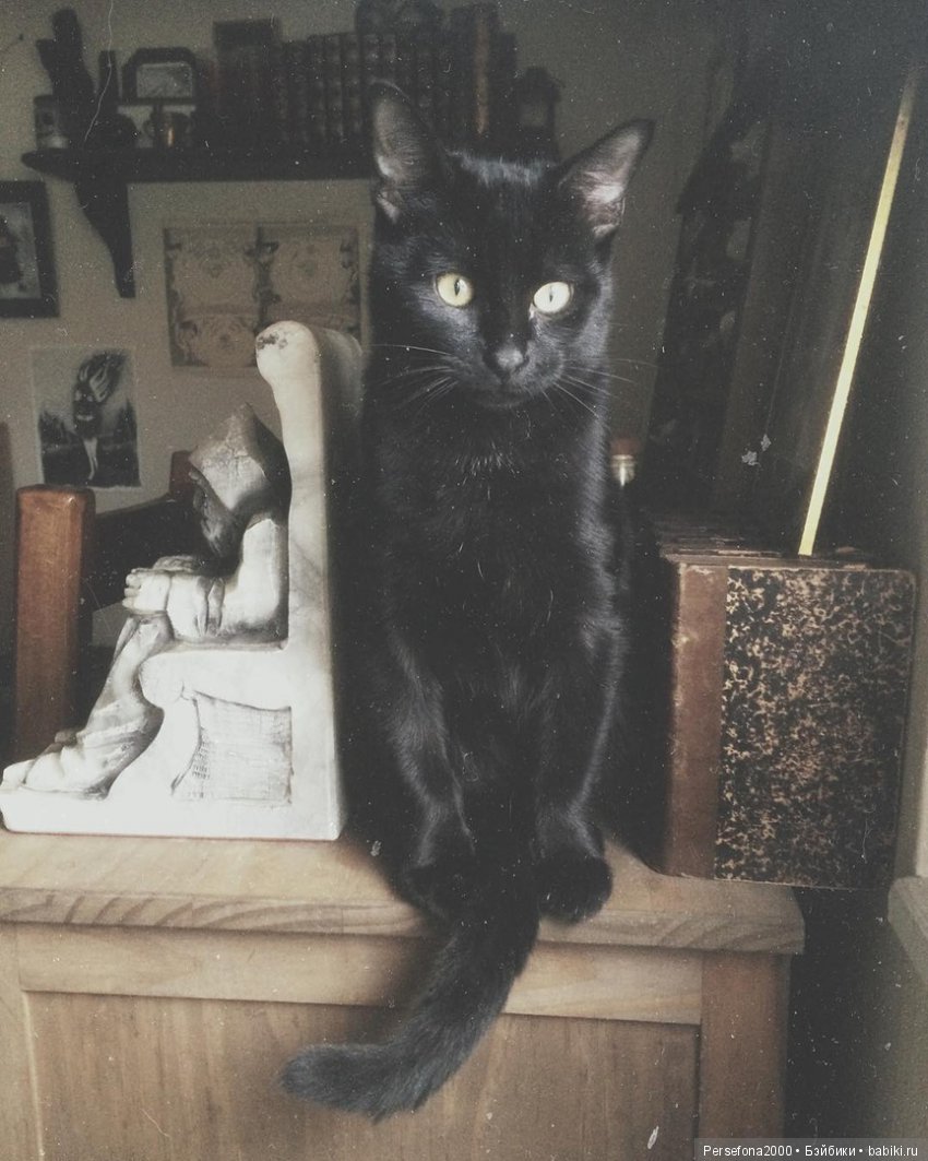 Любимый немец. Глава 12, часть 4 (фото 7)