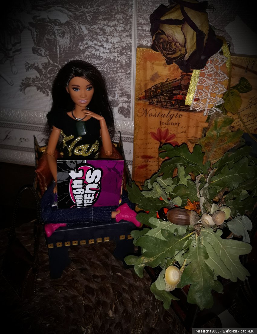 Карина и Тайная комната. Хогвартс, амстердамские печеньки и Ко