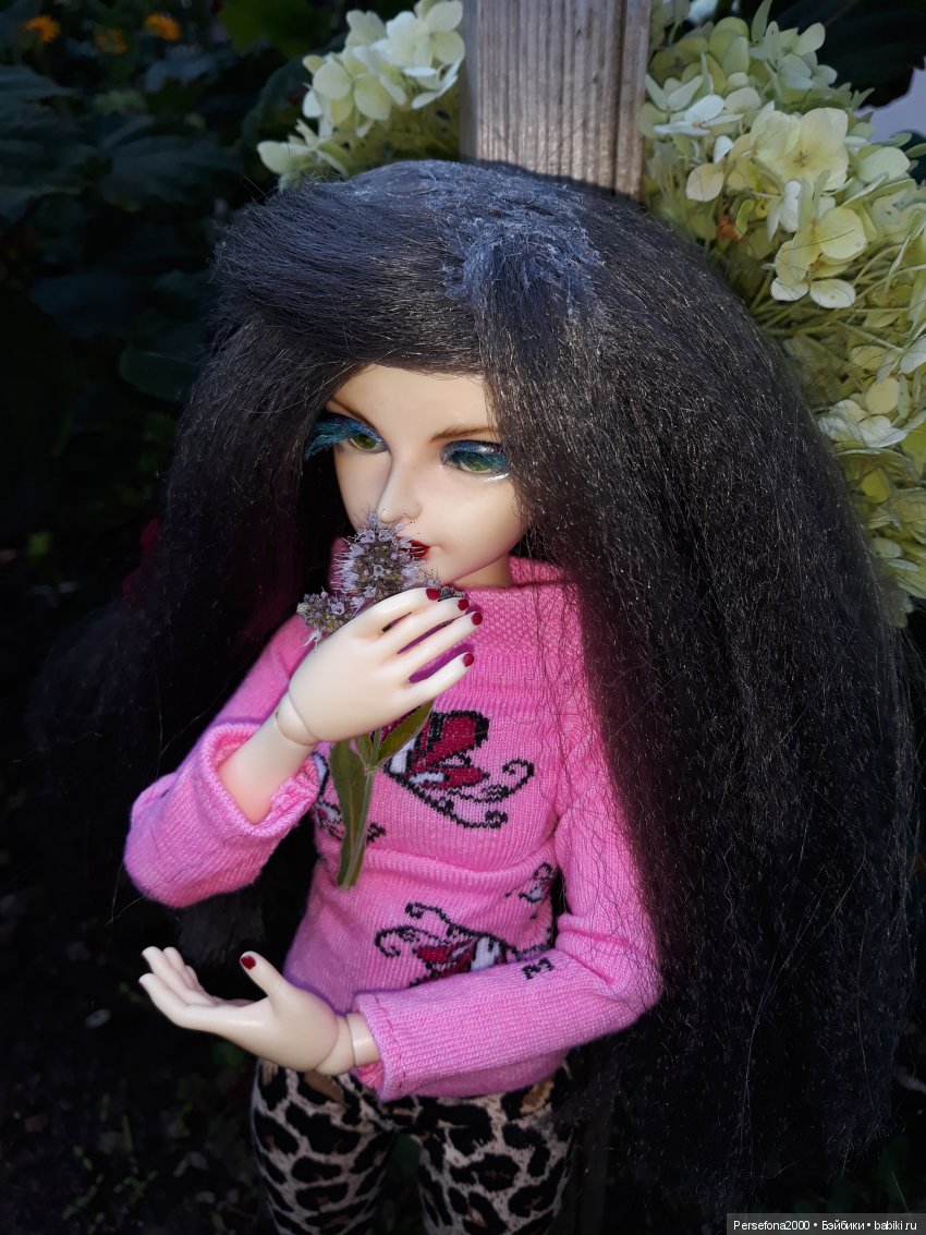 Итоги года ушедшего — Болталка и разговоры обо всем: жизнь