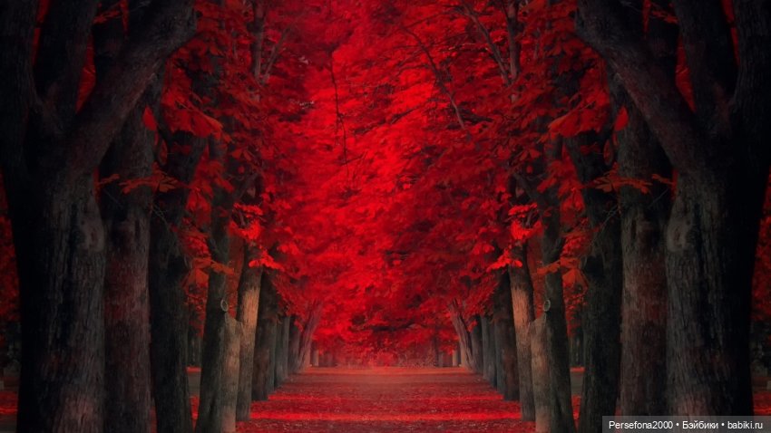 “СВЕРХЪЕСТЕСТВЕННЫЕ МАТЕРИАЛЫ”. Дело № 001. “Матушка Гусыня, или Идеальный блудный сын”. Глава 3 (фото 5)