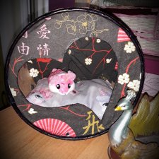 Будуар для Клубнички