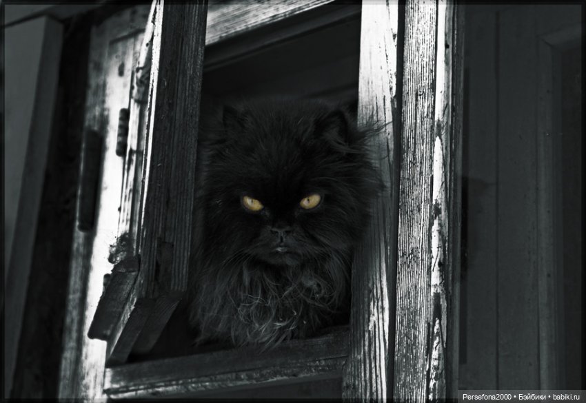 “СВЕРХЪЕСТЕСТВЕННЫЕ МАТЕРИАЛЫ”. Дело № 001. “Матушка Гусыня, или Идеальный блудный сын”. Глава 20 (фото 7)