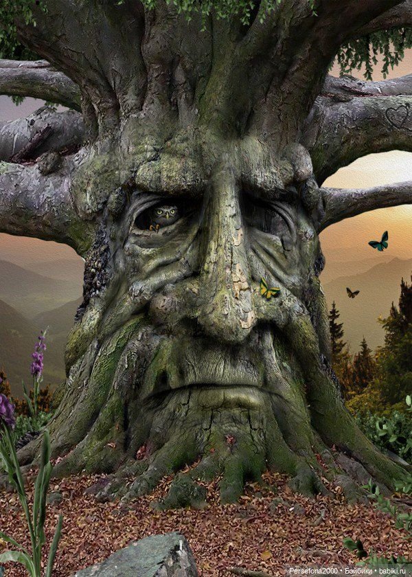 “СВЕРХЪЕСТЕСТВЕННЫЕ МАТЕРИАЛЫ”. Дело № 002. “Аз есмь вендетта, или Смерть с ароматом луны”. Глава 14