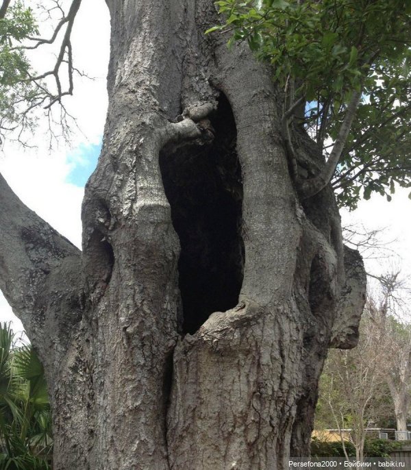 “СВЕРХЪЕСТЕСТВЕННЫЕ МАТЕРИАЛЫ”. Дело № 002. “Аз есмь вендетта, или Смерть с ароматом луны”. Глава 14