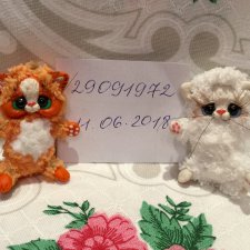 Авторские игрушки.2 ласковых домашних котёнка Рыжик и Снежок для любимых куколок