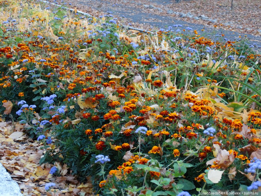Вспоминая золотую осень — Куклы Heidi Plusczok (Хайди/Хейди Плюсчок) — фото