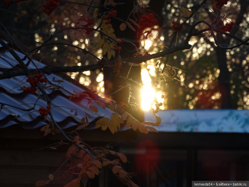 Вспоминая золотую осень — Куклы Heidi Plusczok (Хайди/Хейди Плюсчок) — фото