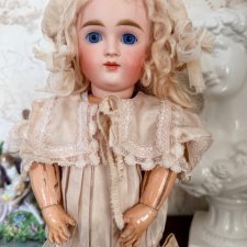 Кестнер закрыторотая редкого молда VIII