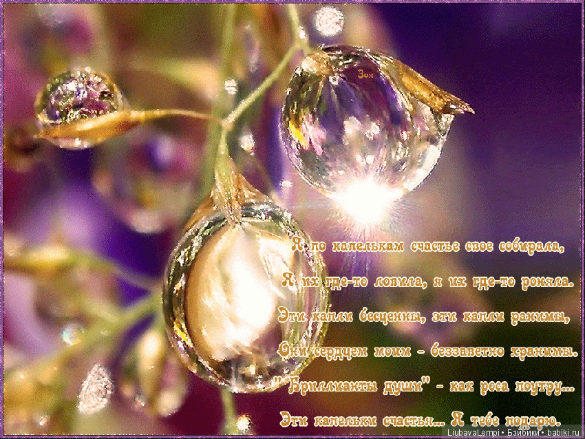 Капелька счастья — Интересное обо всем: поздравления (фото 3)