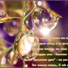 Капелька счастья!