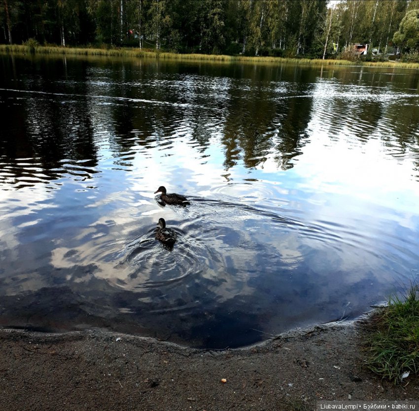Солнечный денёк или прогулка на озеро