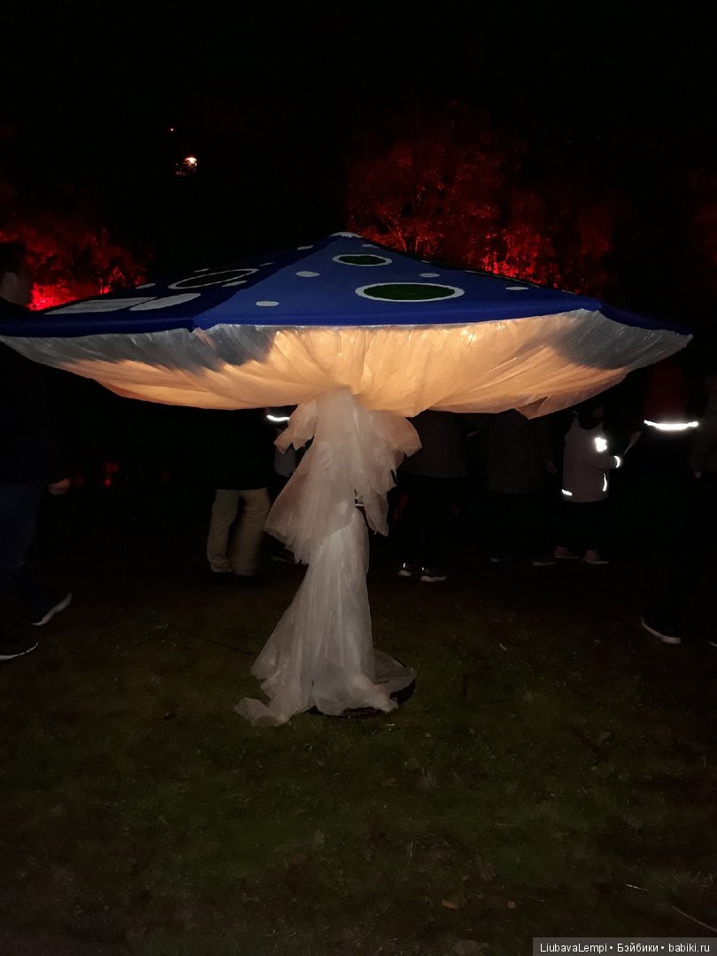 Город света или чудеса нашего городка