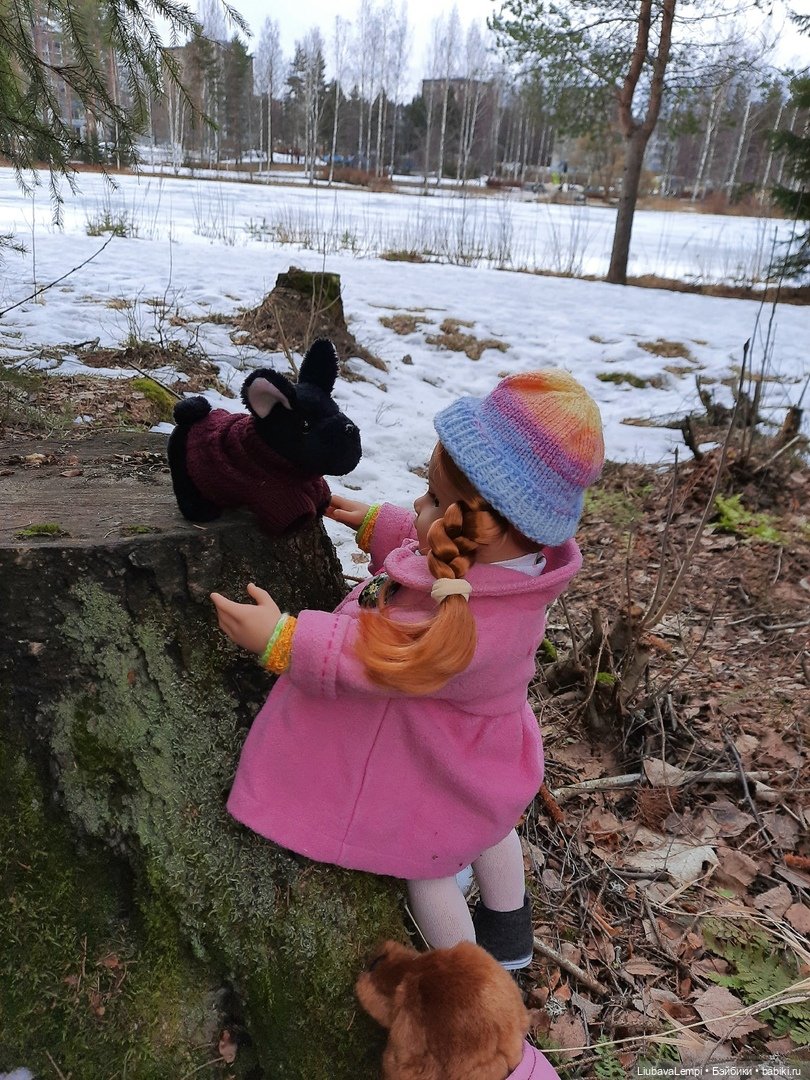 Всем привет или прогулка с питомцами.))