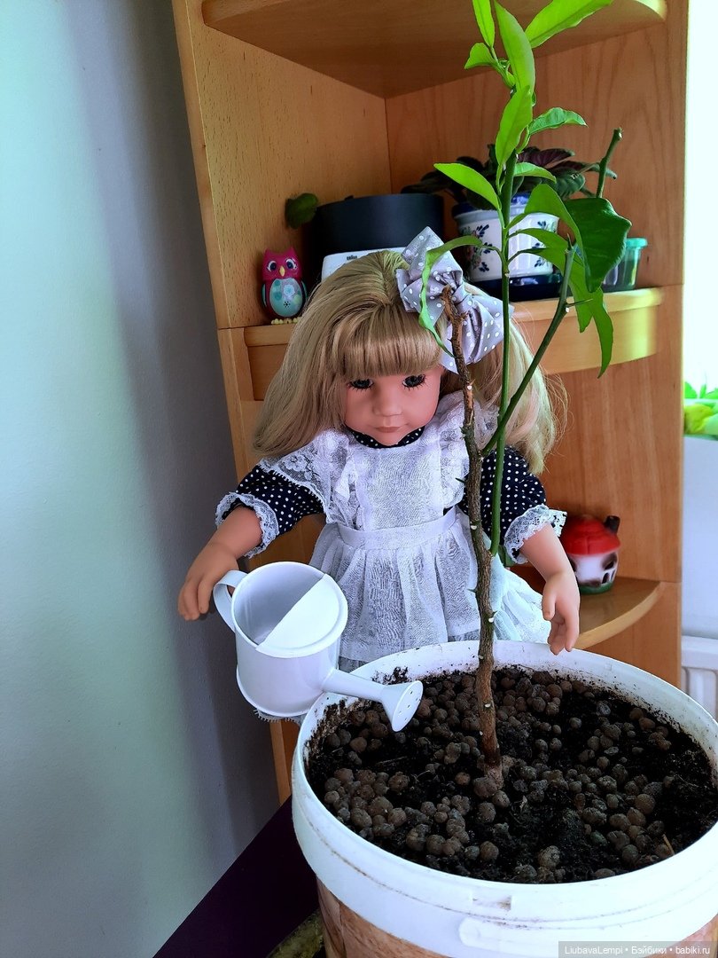 Девочки они такие... девочки... или карантин продолжается