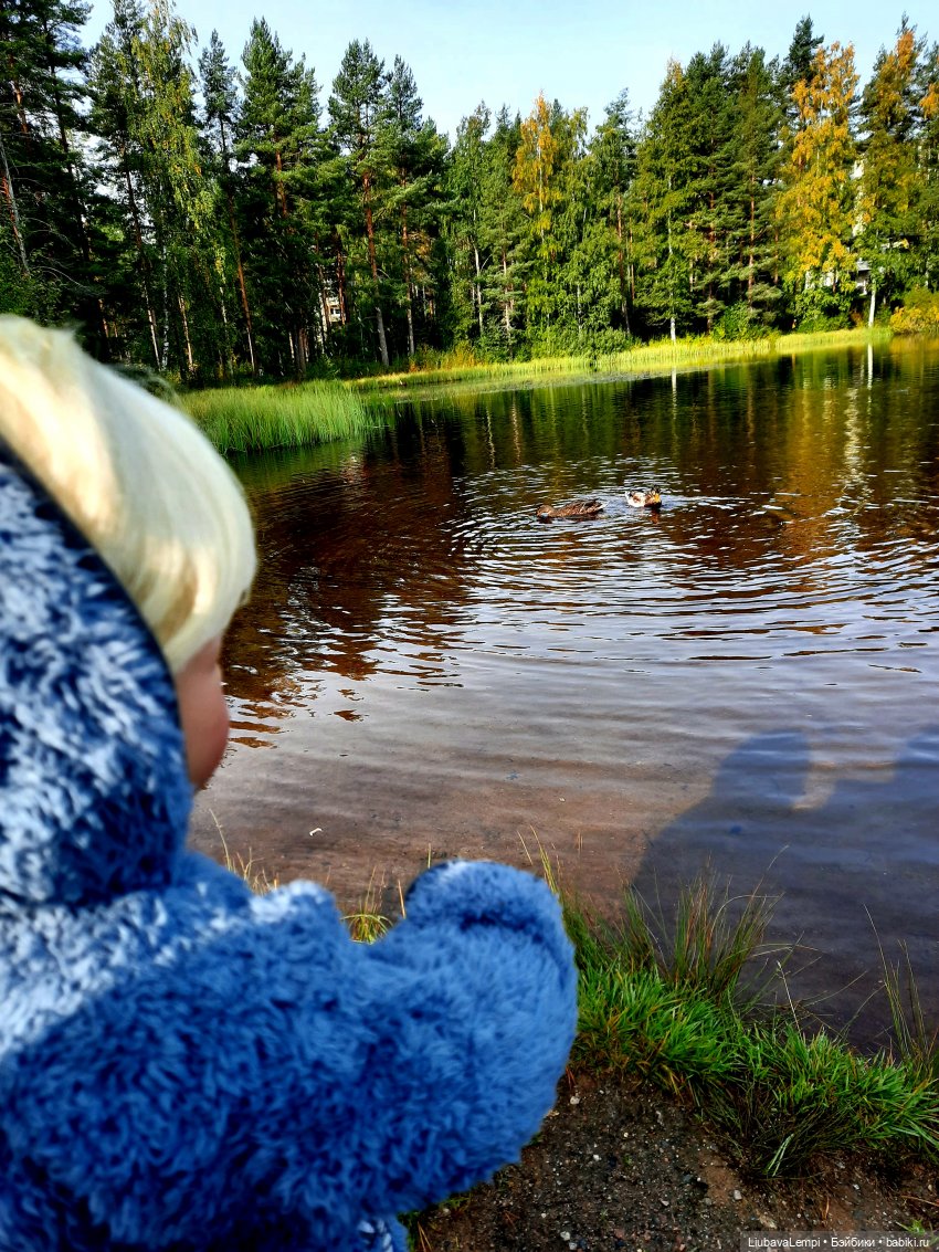 Краски осени с Тимошей или, айда на прогулку (фото 5)