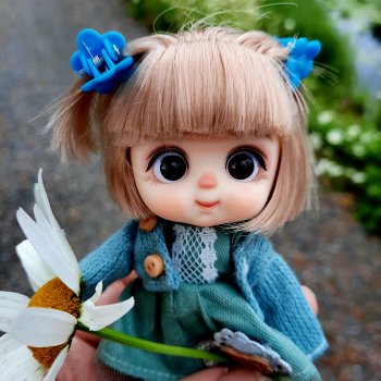 Янкина прогулка