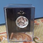 Блюдо фарфор тарелочка