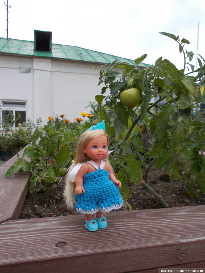 В Аптекарском Огороде — Куклы Simba: Еви (Evi) и Штеффи (Steffi Love) (фото 2)