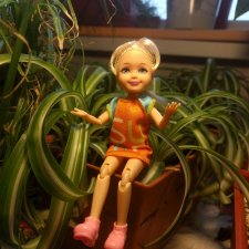 Вот такой к нам приехал шарнирный человечек