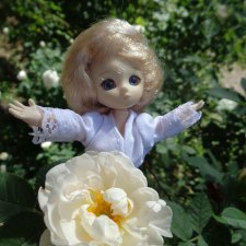 Рубашка с рукавами для obitsu 11см