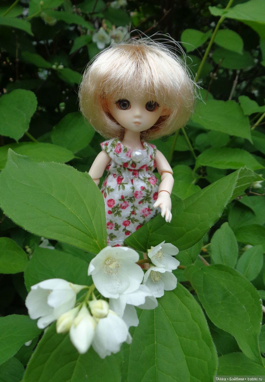 Моя Последняя Кукла Обитсу спасут от куклохомякоза (фото 3)