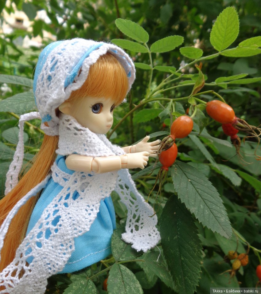 Большой "расхомяк" или Лето, прощай (фото 4)