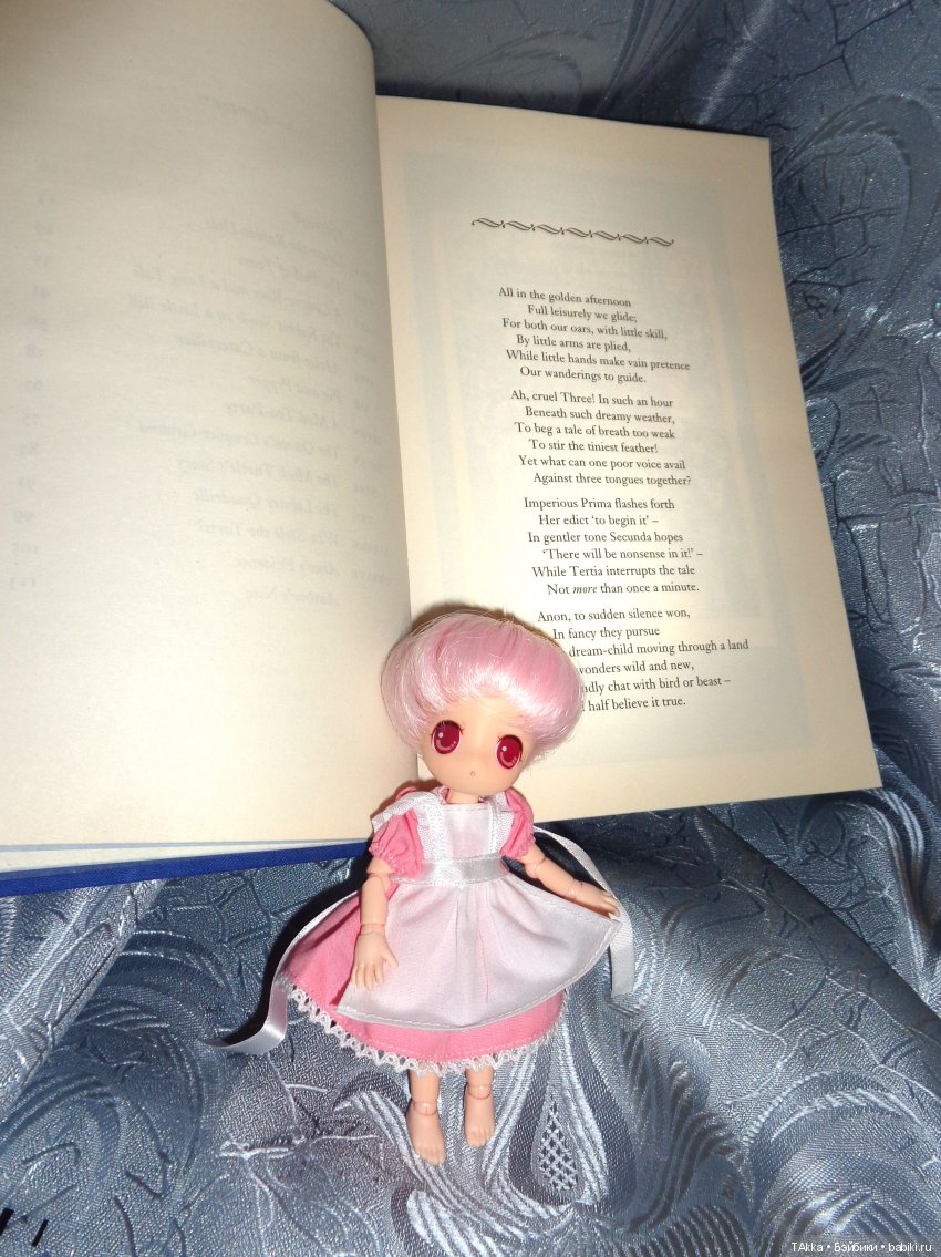 Расхомяк-2 или волшебная зима (фото 4)