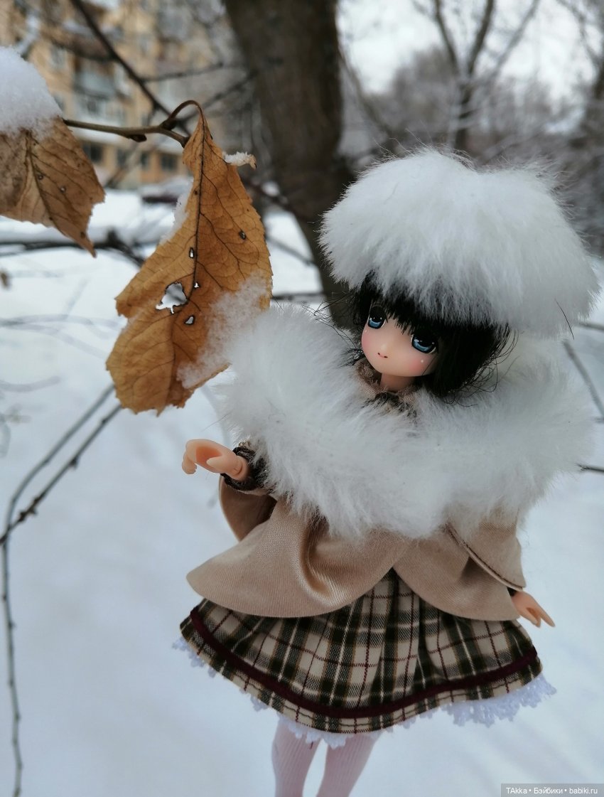 Мои новые куклы - Azone миники. Похвастушки и несколько фоток | Бэйбики Мои новые куклы - Azone миники. Похвастушки и несколько фоток (фото 7)