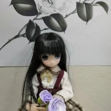 Мои новые куклы - Azone миники. Похвастушки и  несколько фоток