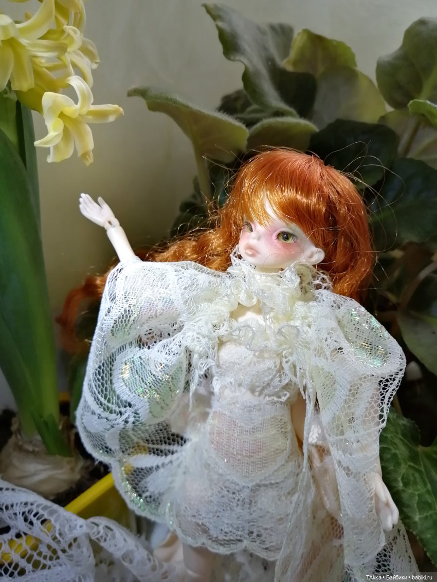 Немного цветов в серый день (фото 5)