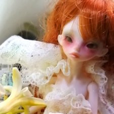 Немного цветов в серый день